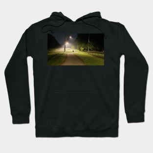 Night stroll at the park Hoodie